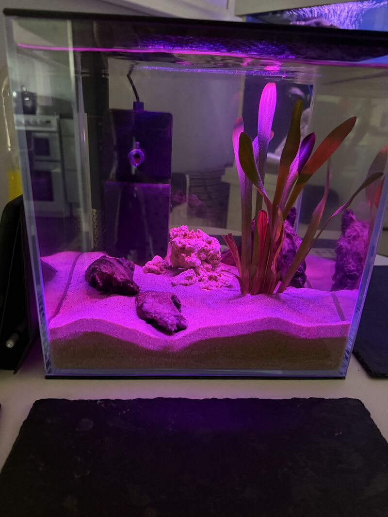 Custom 3D printed fishtank lid made from recycled PETG